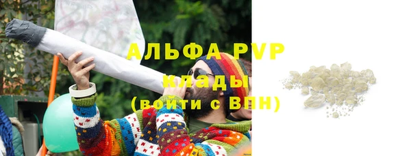 гашик Надым