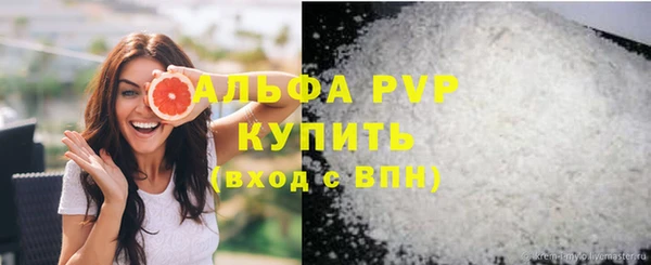гашик Надым