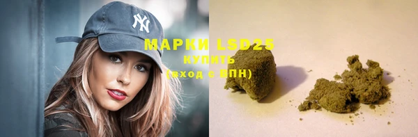 гашик Надым