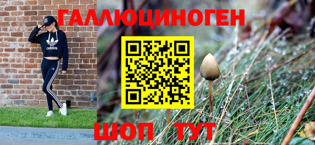 Галлюциногенные грибы Cubensis  Галлюциногенные грибы MAGIC MUSHROOMS  Вход с VPN  Усинск 